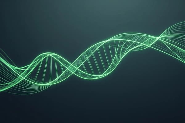 The Race to Build Programmable DNA Drugs That Target Any Cancer