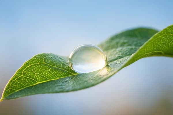 Tavo Biotherapeutics Raises $17M for First Disease-Modifying Glaucoma Drug